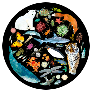 168开奖网app-168开奖网